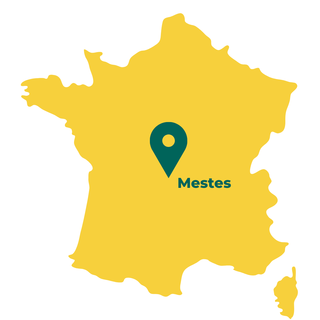MESTES
